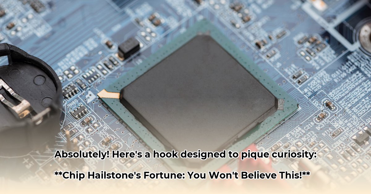 chip-hailstone-net-worth